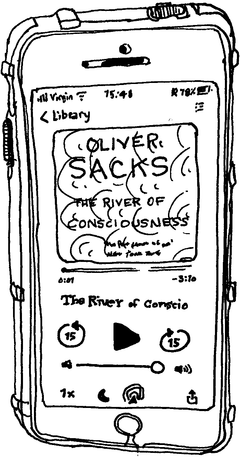 Drawing of “The River of Consciousness”