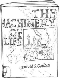 Drawing of “The Machinery of Life”