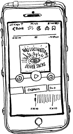 Drawing of “Hallucinations”