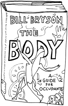 Drawing of “The Body: A Guide for Occupants”