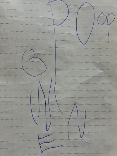 writing in pen poop and her name